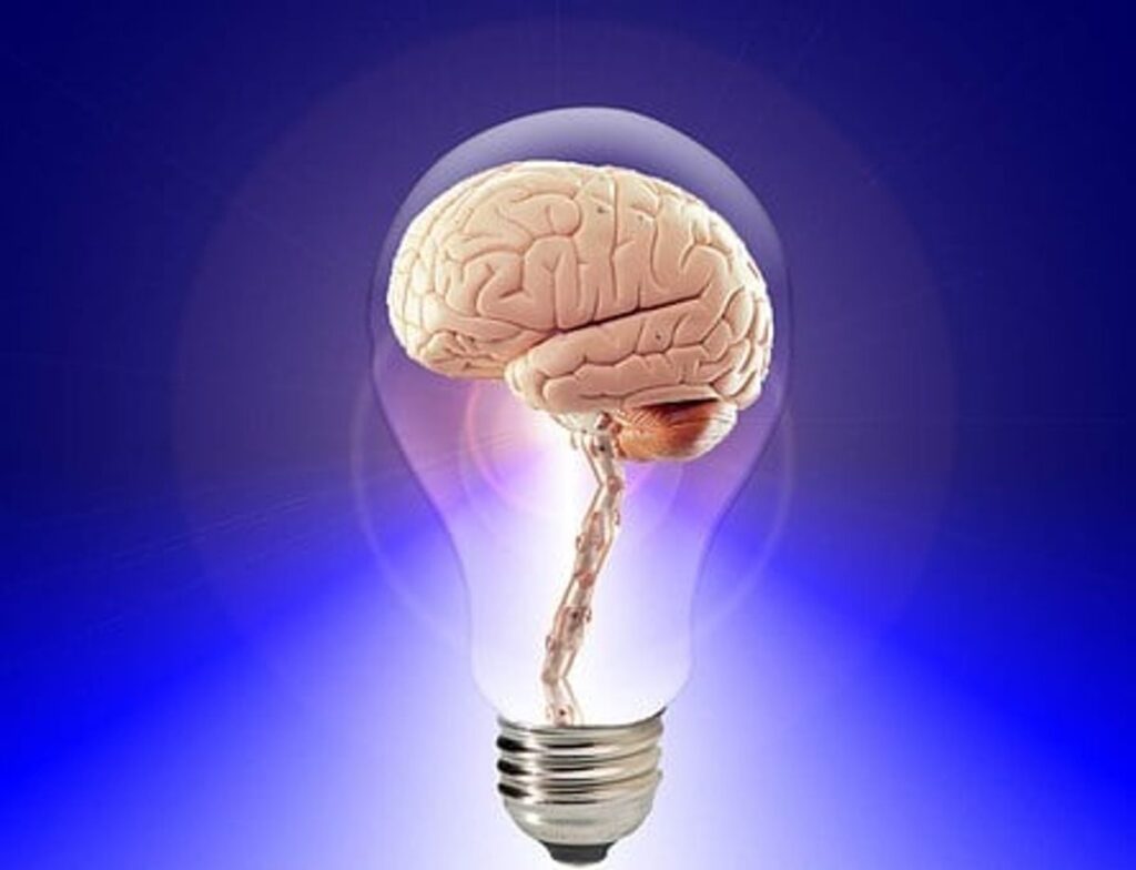 Critical Thinking