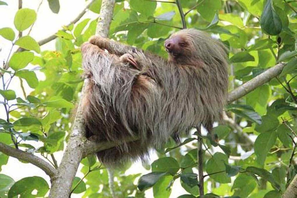 How to Travel in Costa Rica