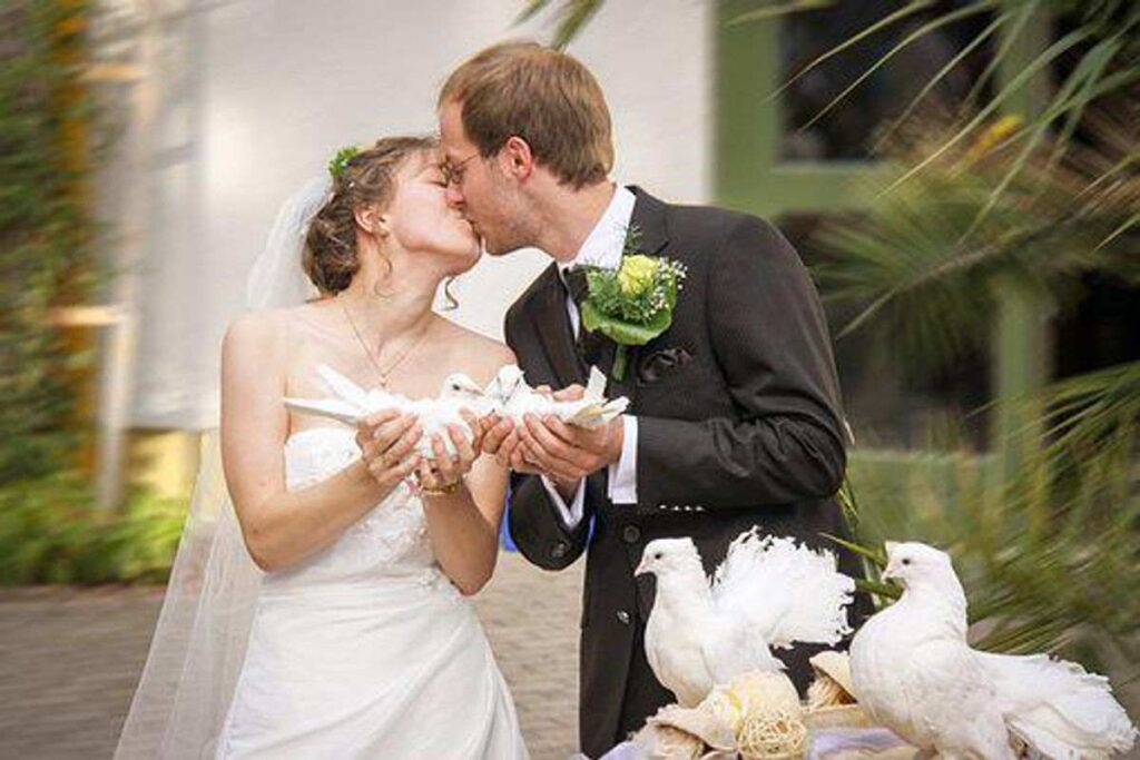 How to Choose a Wedding Photographer