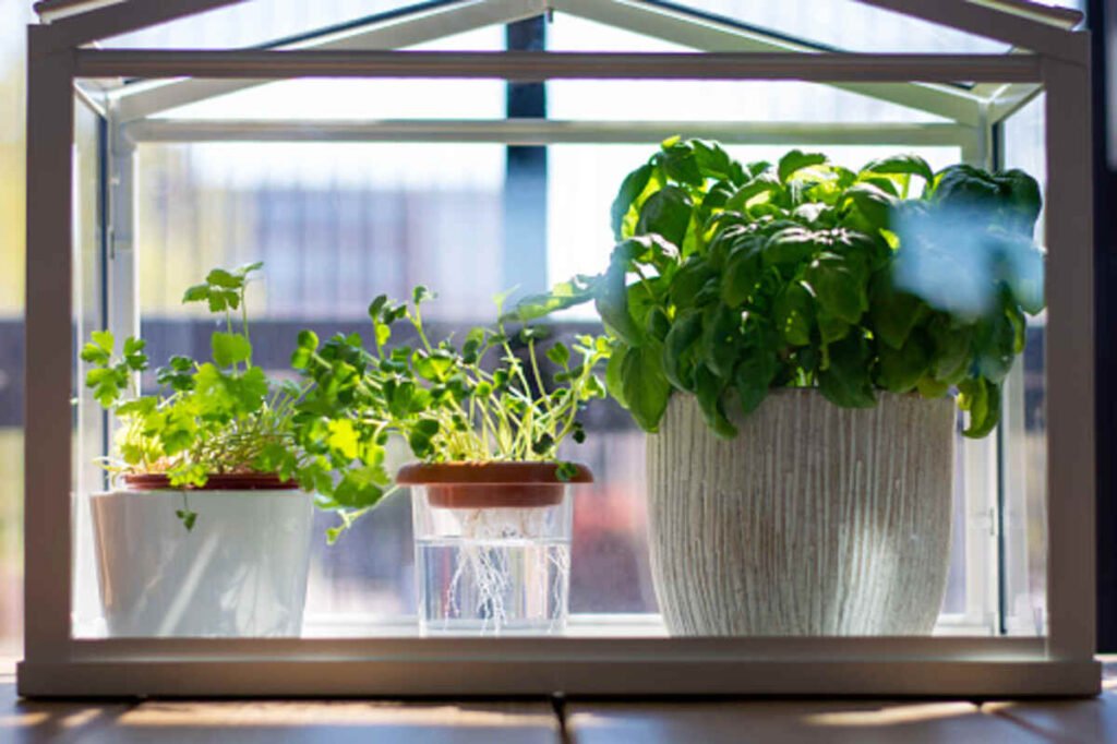 indoor hydroponic garden