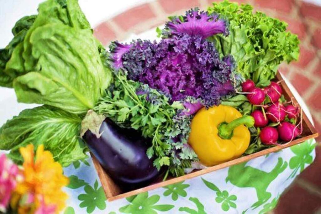 organic gardening