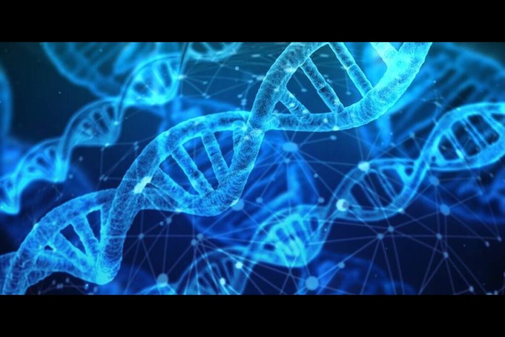 what is dna
