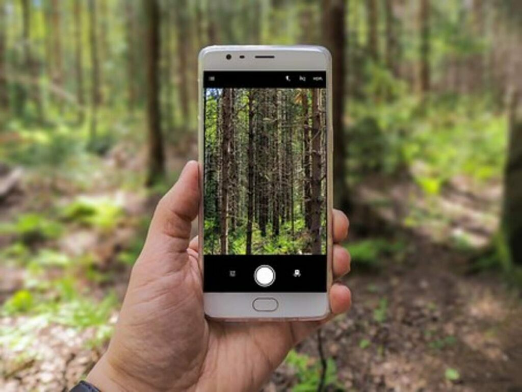Oneplus 9 Pro Camera Review