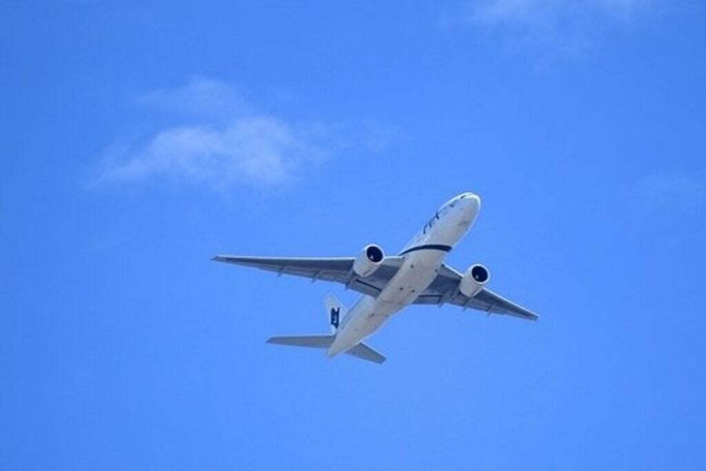 vistara pnr status