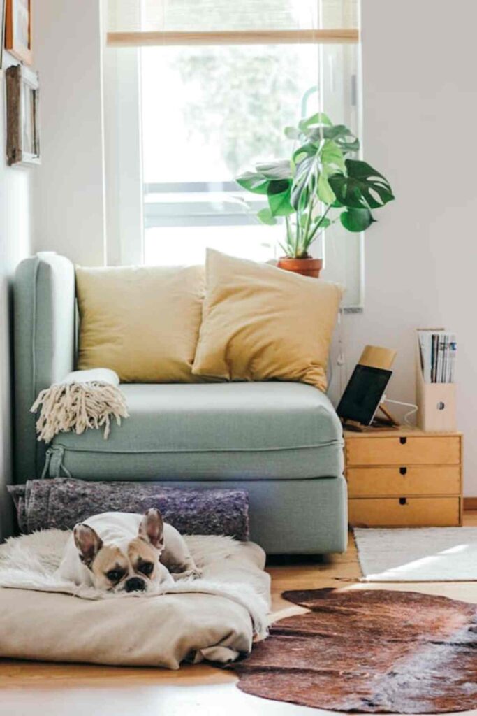 Top 10 Home Appliance Companies in Iceland
