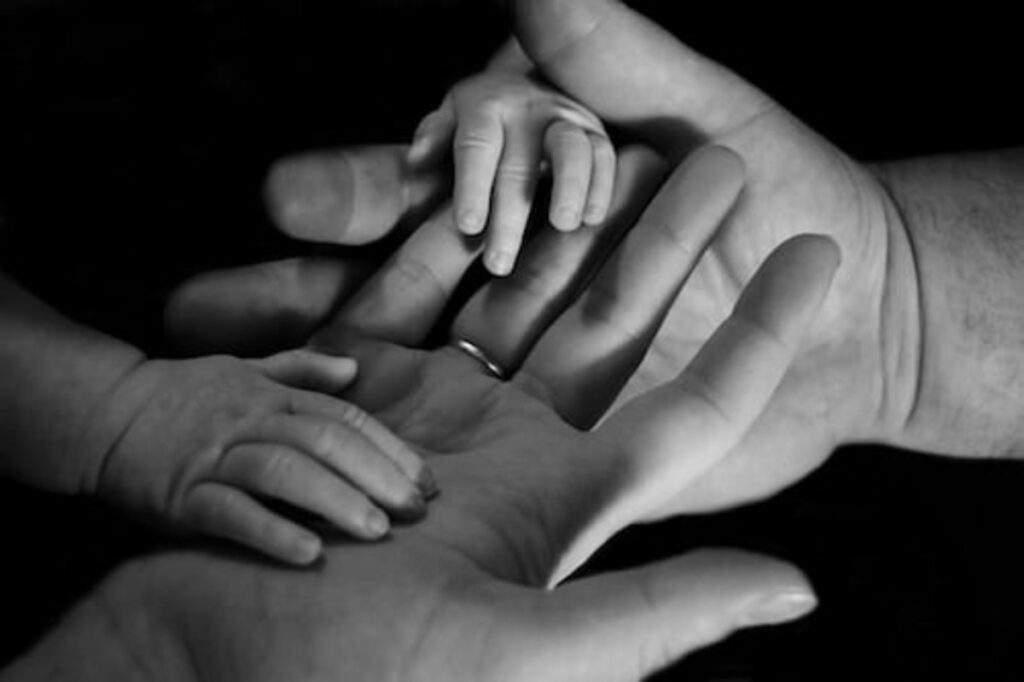 Top 10 family lawyers in Washington