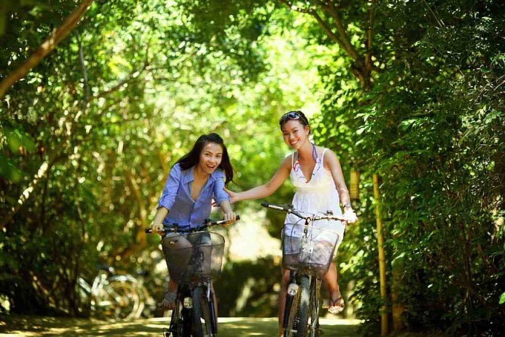 lifestyle cycles
