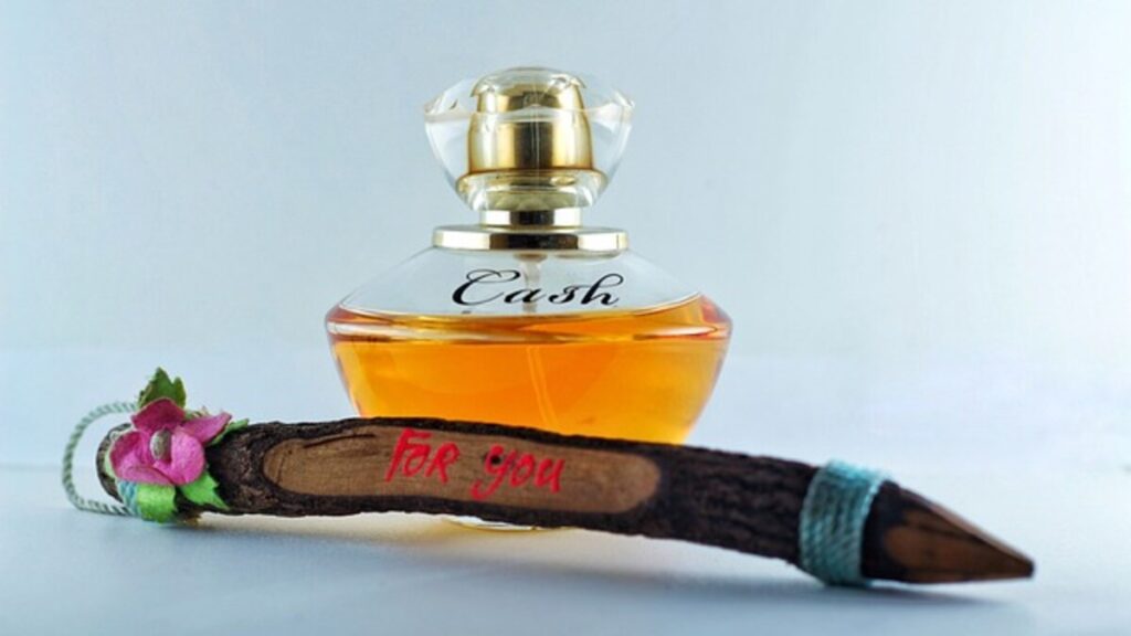 fashion essentials com reviews