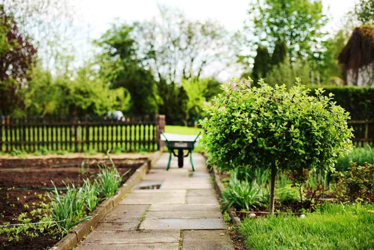 Who owns Better Homes & Gardens?