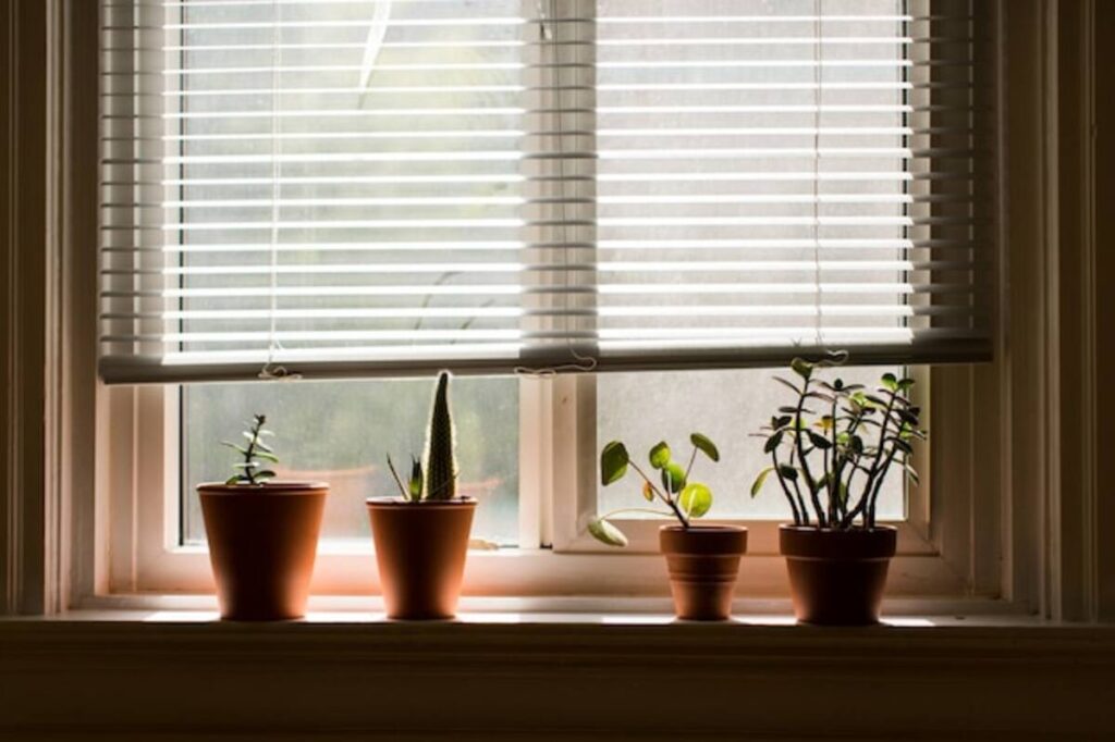 custom Roman shades