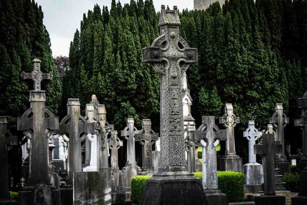 trading places dublin
